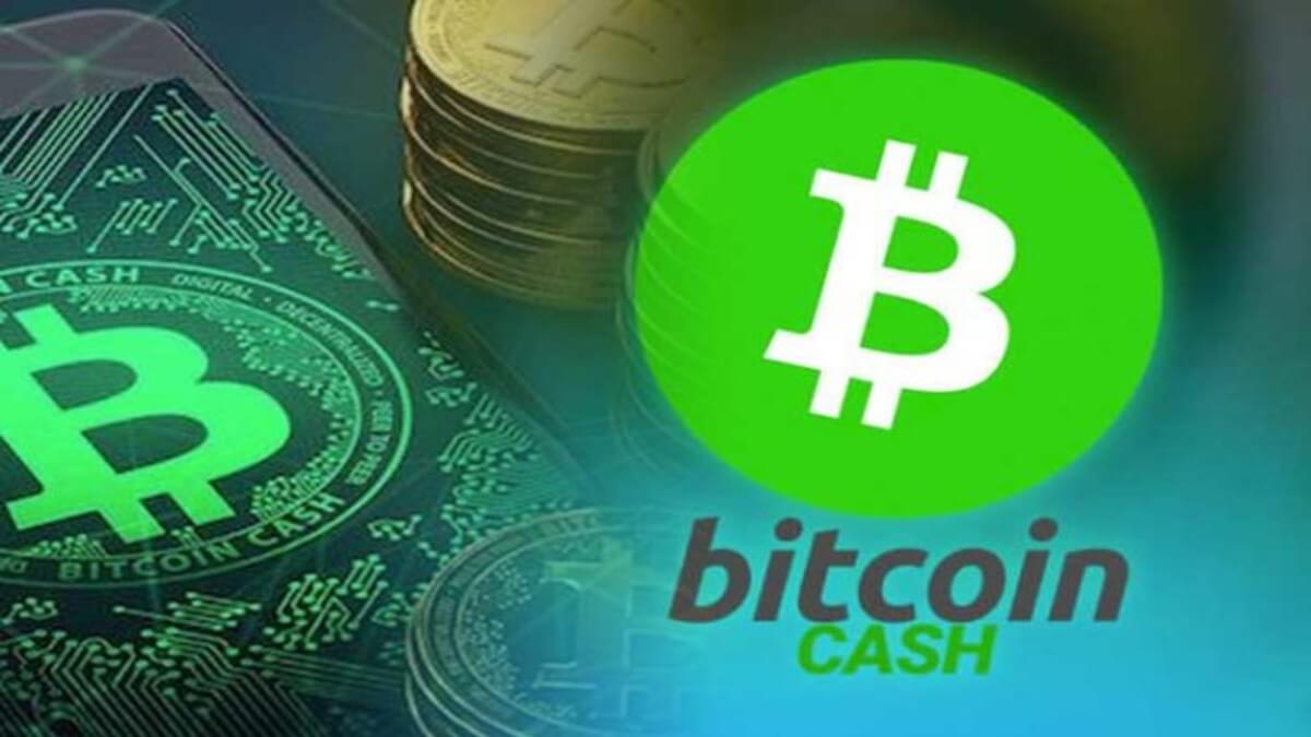 Bitcoin Cash nedir