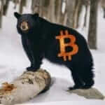 bitcoin ayı piyasası etkisi