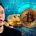 Elon Musk, Twitter Biyografisine Bitcoin Etiketini Ekledi