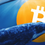 Balinalar Bitcoin biriktiriyor