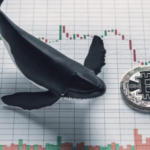 Bitcoin balina sayısında azalmanın sürdüğü tespit edildi