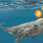 ‘Milyoner’ balinalar son 25 günde 90.000 Bitcoin biriktirdi