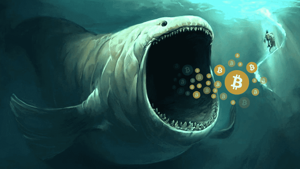 Bitcoin-whales-sell-off.png