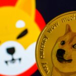 SHIB’nin %400 rallisi, köpek temalı diğer “meme” tokenlerine de sıçrayabilir