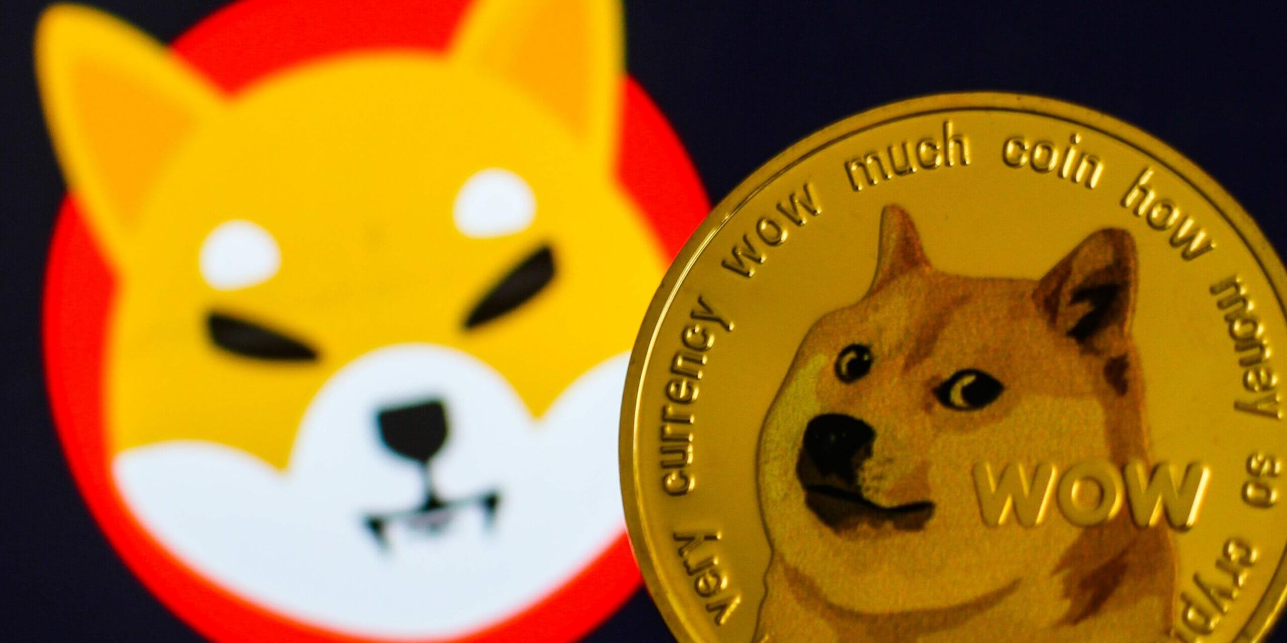 shib ve dogecoin