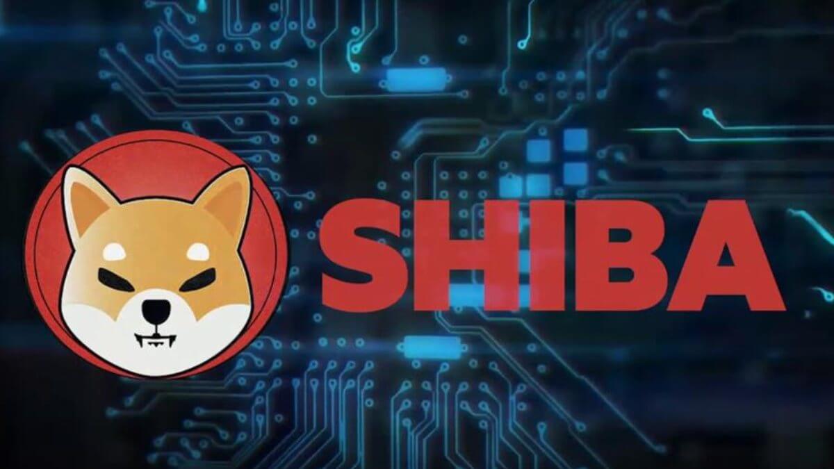 shiba coin yükseliş