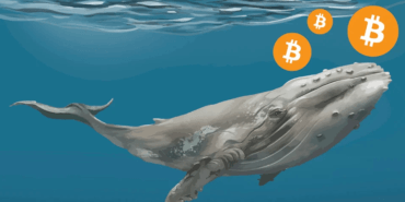 Bitcoin balinaları kısa vadede satış yapmayı planlıyor olabilir
