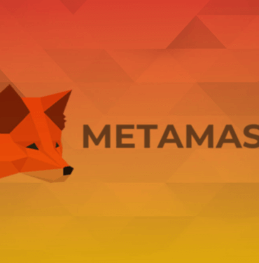 MetaMask Bilgileri