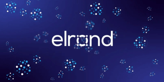 Elrond, Lider Kripto Ödeme Sağlayıcısı Utrust’u Satın Alarak 2022’de Web3 Ödemelerine Damgasını Vuracak