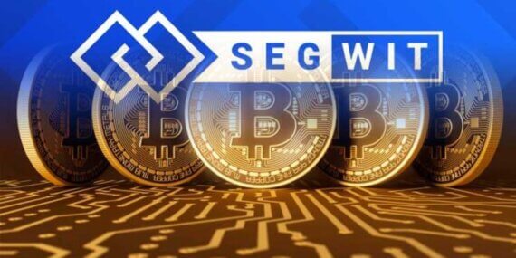 SegWit (Ayrılmış Tanık-Segwit) Nedir?