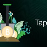 Taproot ve Bitcoin’e olan faydası nedir