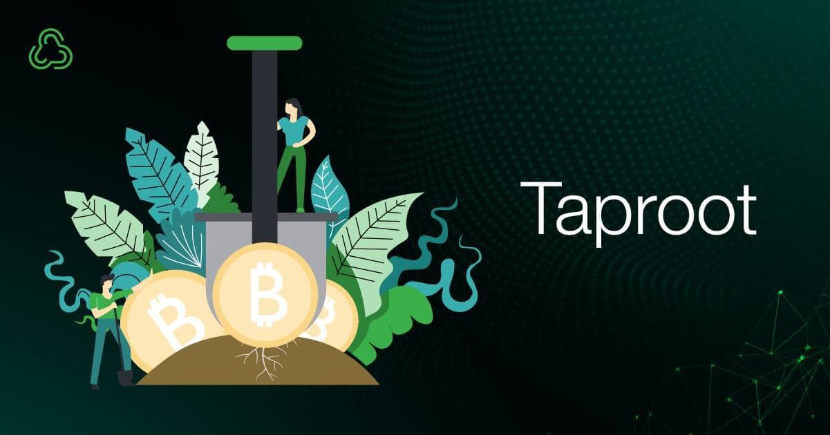 Taproot Bitcoin