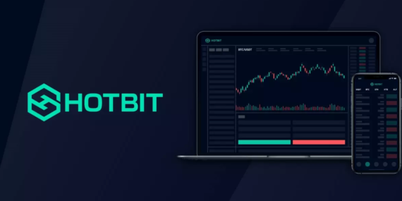 Hotbit Kripto Para Borsasını Neden Kullanmalıyız?