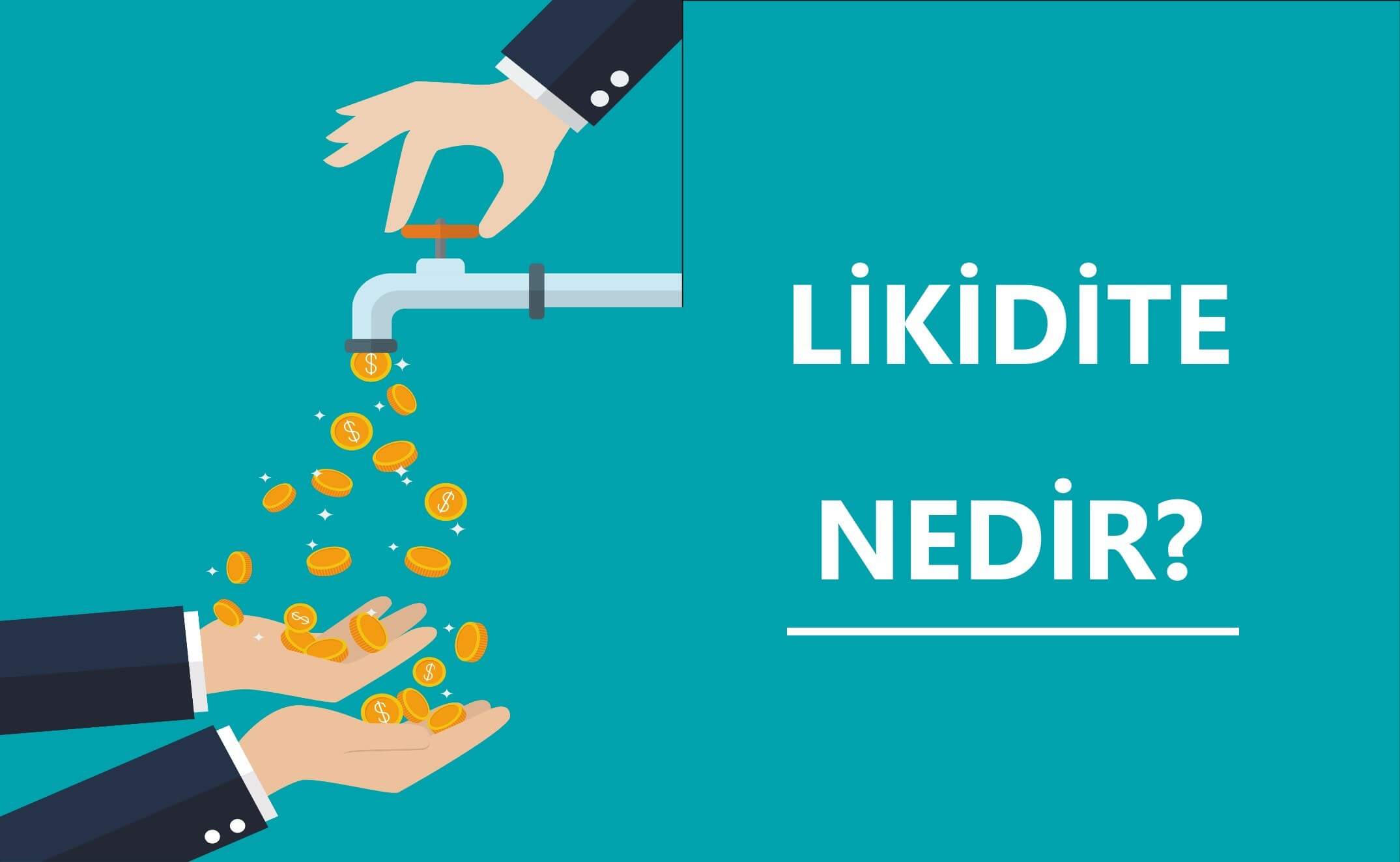 likidite köprüsü nedir